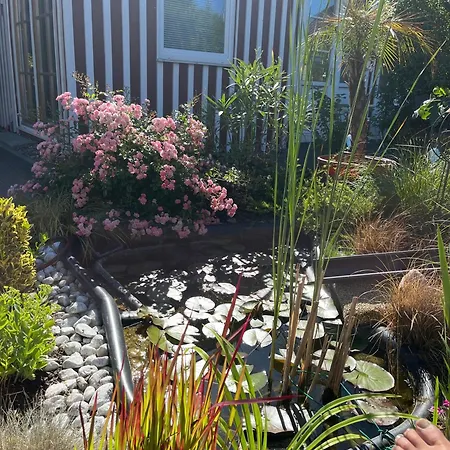 Apartmán Susans Sommerhaus